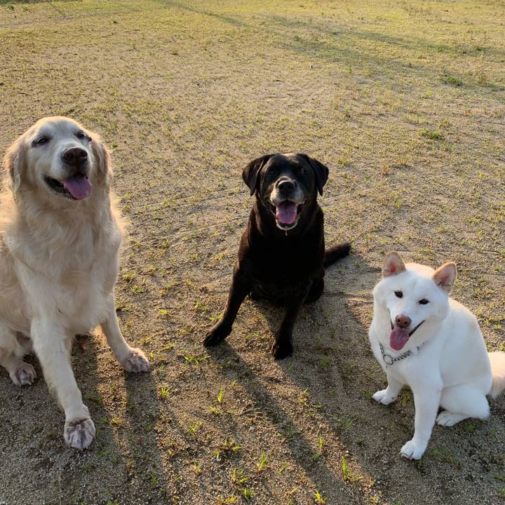 C5b95a2f d3f7 4630 bd96 3970154662a5 1671420680109