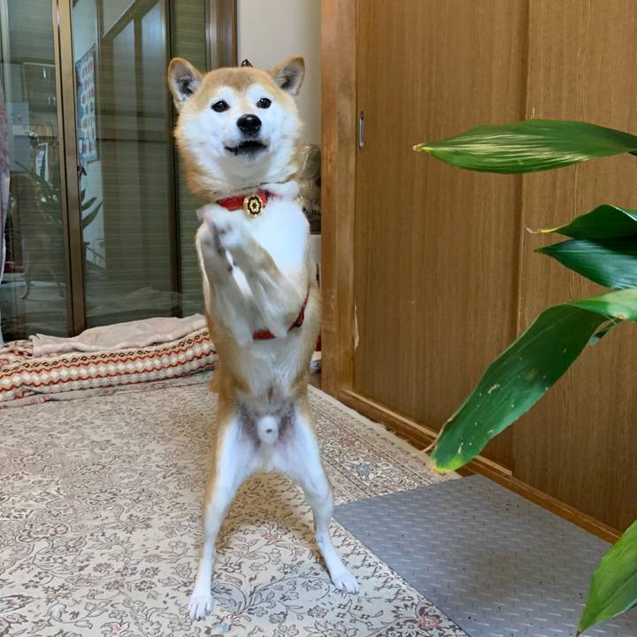 C5b97938 2fbd 4f36 aad0 14a3daddbfd7 1607771851319