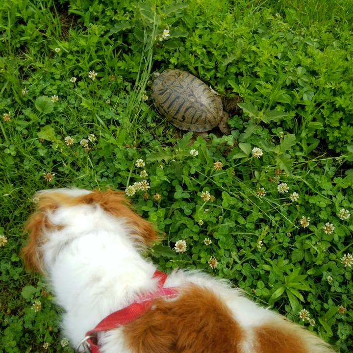 C5b9b390 3075 4e0e bbb5 3fd164ba50cf 1559906565113