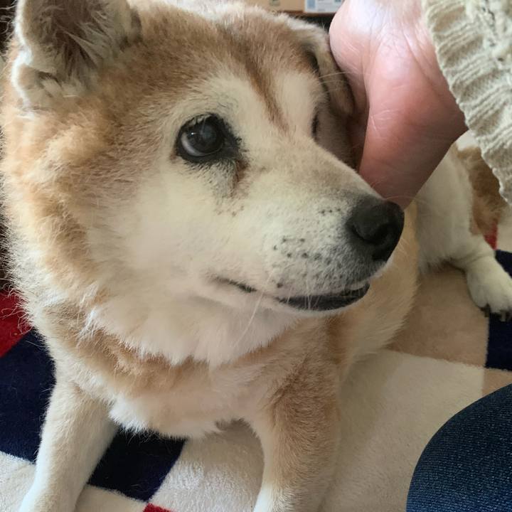 C5b9c38d 275e 4c64 a2e1 b1975539a279 1635061416224