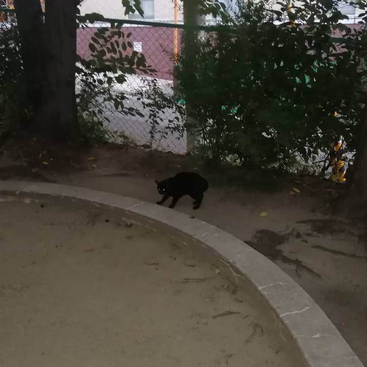 C5b9c963 e980 4c50 8288 bb9e2795ea59 1630318095514