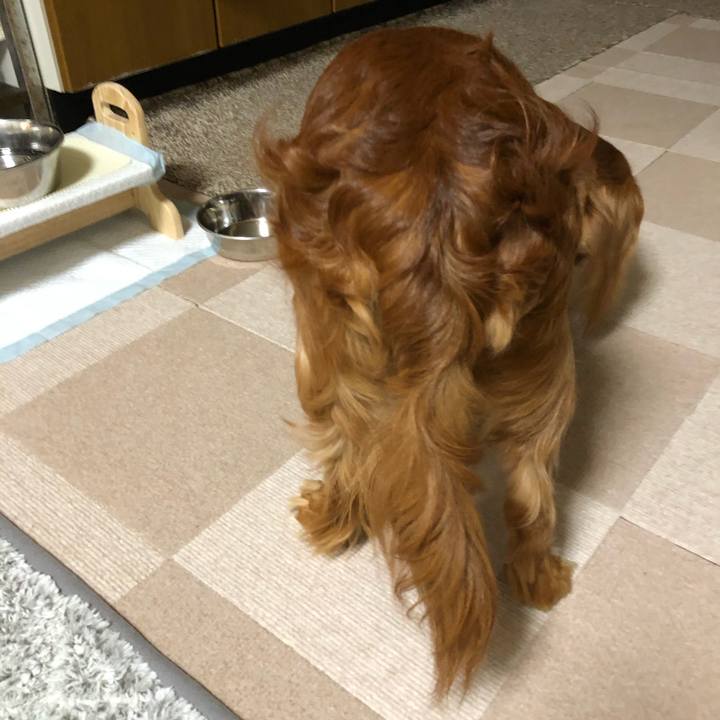 C5b9f7b0 8c2d 40cd 9df0 7ede8759349a 1581804380571