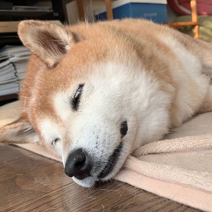 C5ba0ee3 ae11 41dd b0d7 6ca34344f1f2 1569482381931