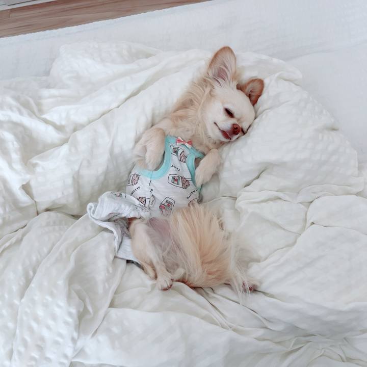 C5ba12f0 d035 484f a3d4 636f92ad16b8 1715047393967