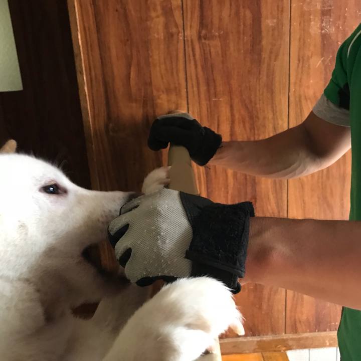 C5ba2300 9463 474a a983 ff6283ef15da 1536395324911