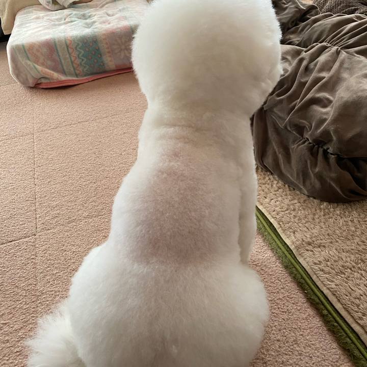 C5ba37b6 4e92 4854 aa33 bb53d54433f1 1644817737929