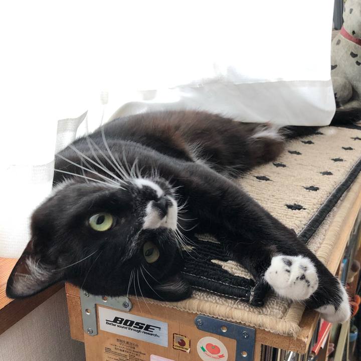 C5ba3aae 3434 4e8e 9bda cc5b149a1833 1566877071451