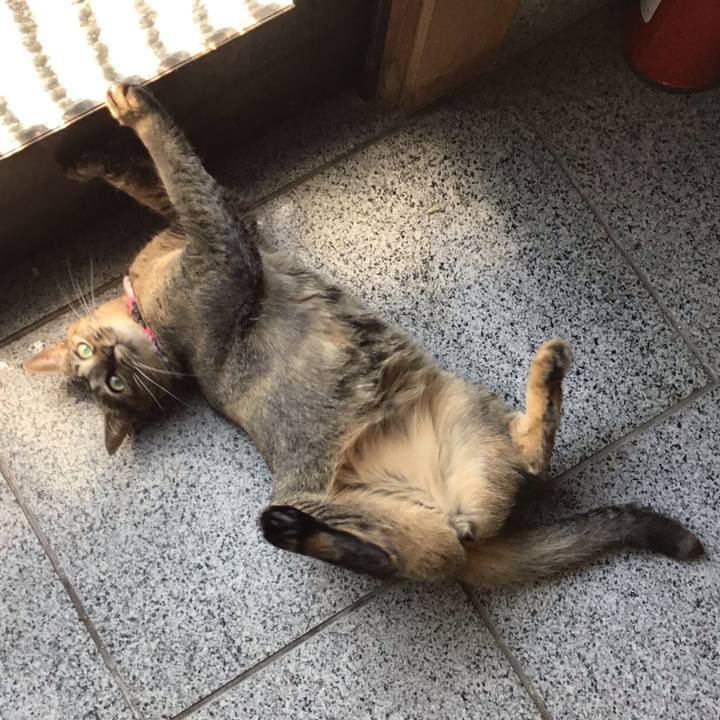 C5ba7e6a b453 49a3 b40c 590538036fd5 1597809400093