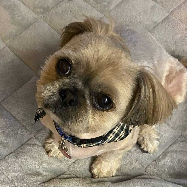 C5ba8259 2101 4c3a bfa3 3c7b3a8dab43 1582680154104