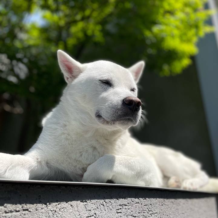 C5ba94ef 68b1 4754 9664 e59df013c2e1 1682831410711