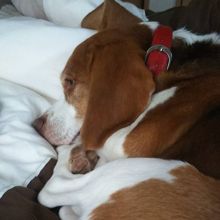 C5ba960c bacd 4da5 8da9 e32ded04126b 1636419574757