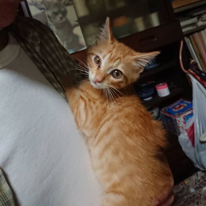 C5baafd6 41f9 42b5 ac90 9ebb7a76d14b 1629635035854