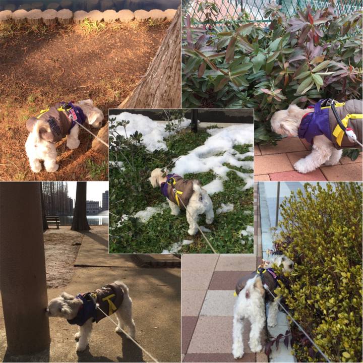 C5bad446 3ee6 41da bada b28a39ac3afd 1517721885722