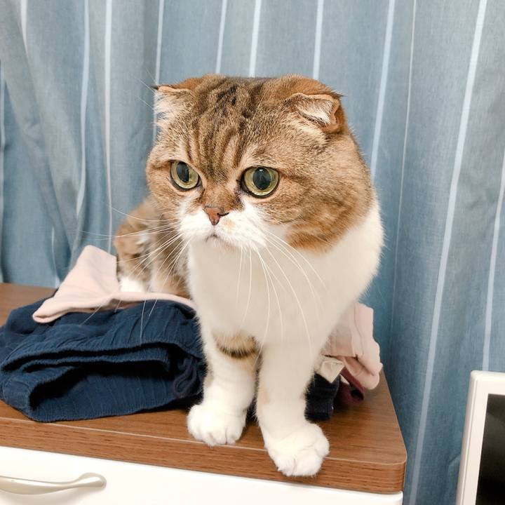 C5badfd5 2ee0 49b3 8461 3a33ccd87be5 1571667463832