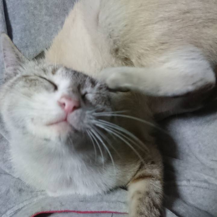 C5bae09b 0d5d 4be2 b273 652f86bd3e0b 1526311603225