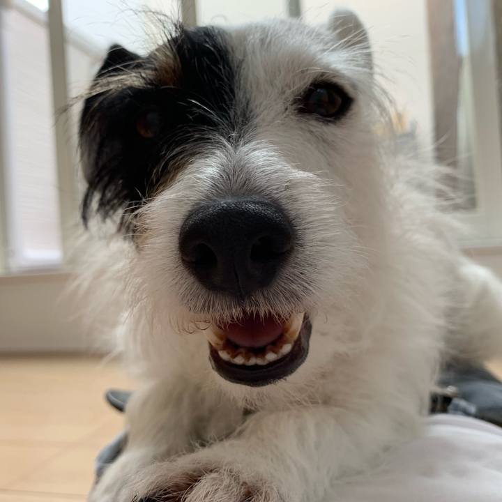 C5bb15bc 99db 496f 9809 ec0a884fc7ed 1559633703687