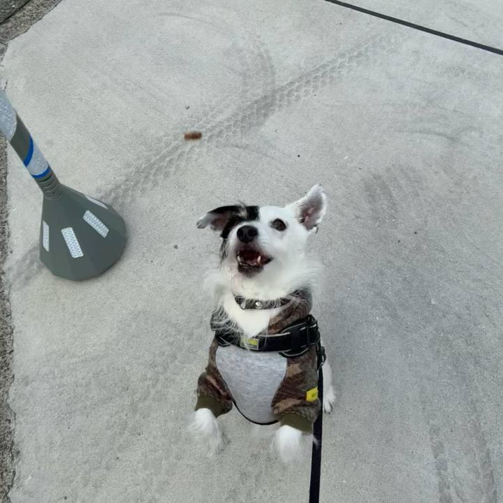 C5bb6c3c feb5 4699 9756 cbd54e2469bf 1763853447891