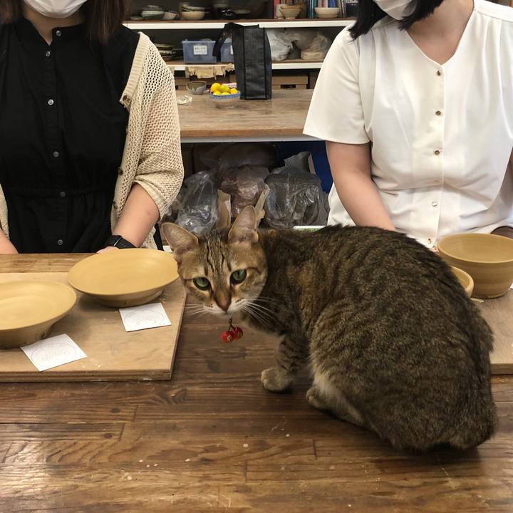 C5bb85c2 60a8 42c5 9c13 f718044a453c 1664610758716