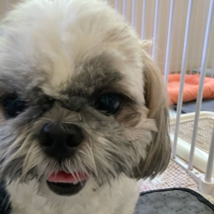 C5bb8e24 29e3 46dc ad11 22e060ec0b03 1726846523859