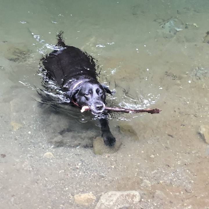 C5bbb5ec 8d71 4675 befb 02e295f6fbd2 1529202362516