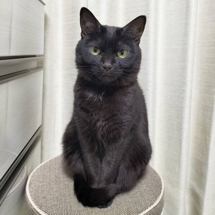 C5bbc15f 3584 4d17 9213 561851db683d 1711975873525