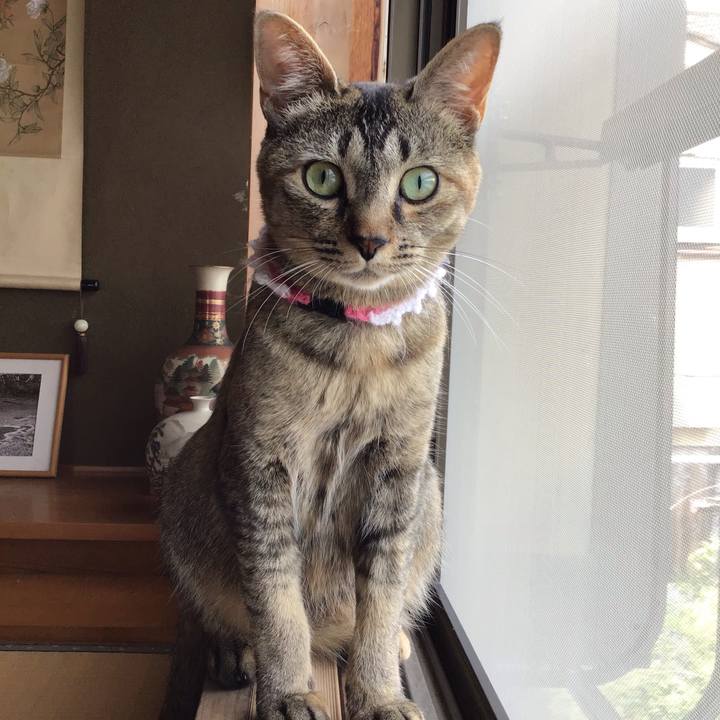 C5bbf7a4 3459 4257 85b8 7a8257443473 1593235387911