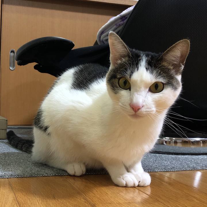 C5bc0b8c fd25 4d8c 8c4e 21f3550a8e71 1617023899441