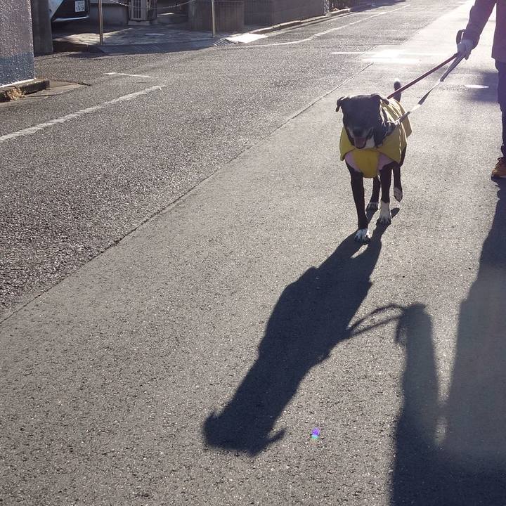 C5bc5873 330c 4ff1 86fe 9d6b5707fa5d 1740270391980