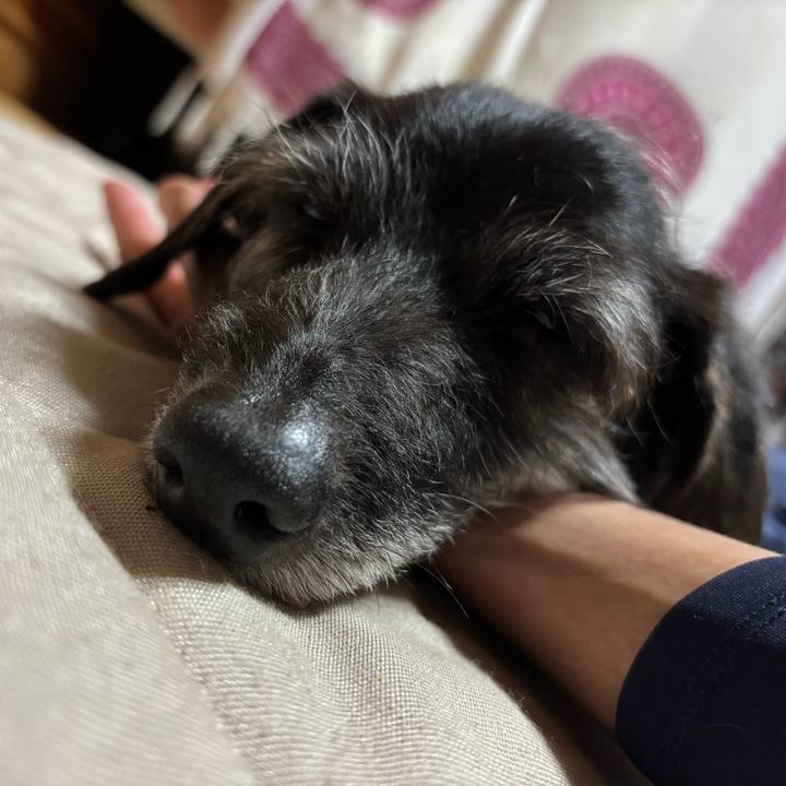 C5bc881e 399e 4131 a22e 87b5622a434c 1750721335464