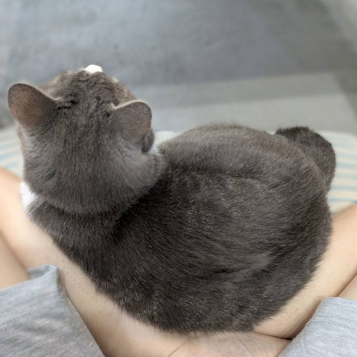 C5bc8acc 6f86 44f0 a37a f7c5995ac5b7 1753507224382