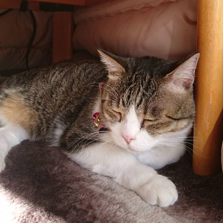 C5bca32d def3 4ada b3ae f0baf203197c 1543193155185