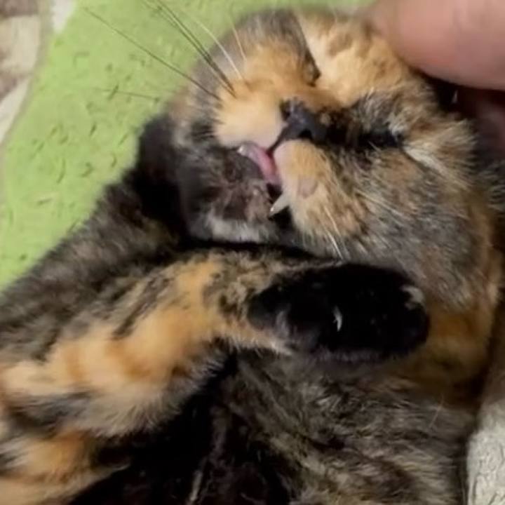 C5bcb639 b225 48db b6b1 40c7aa0f59ff 1759350057264