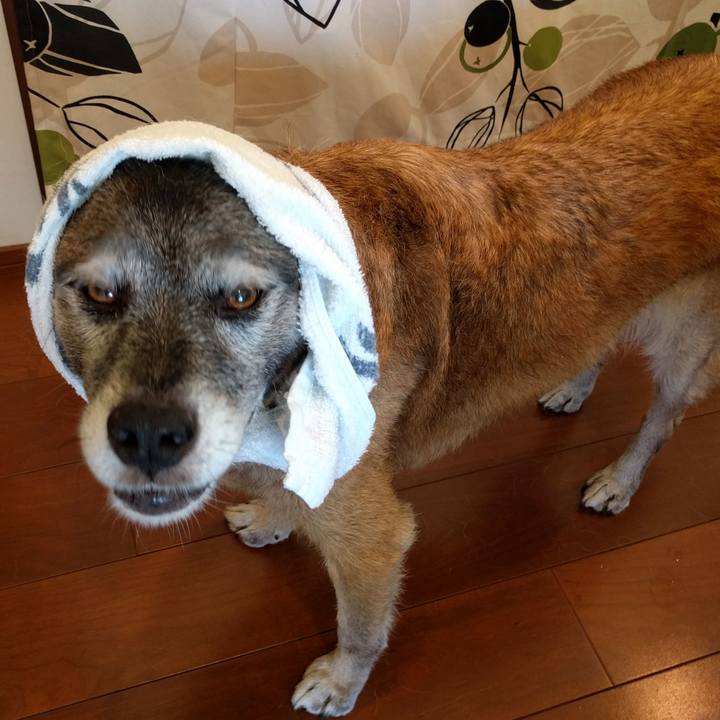 C5bcc2e8 5081 4dfa 9804 8074106c2aa9 1533862869283