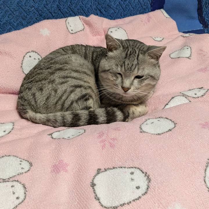 C5bcd263 fff5 4dec b93c d5694cc47a63 1745071086212