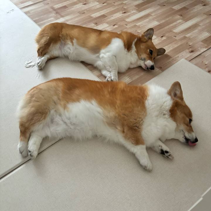 C5bd07f8 0696 4474 b668 806c9b5e03be 1727577806127