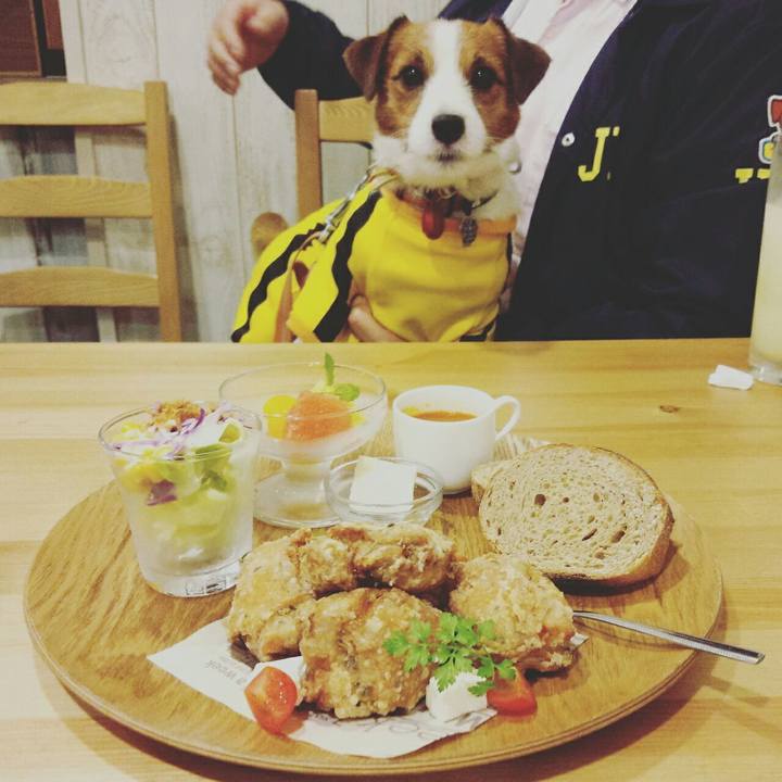 C5bd32f3 2d18 494a a73f 9e4641da1675 1508732002588