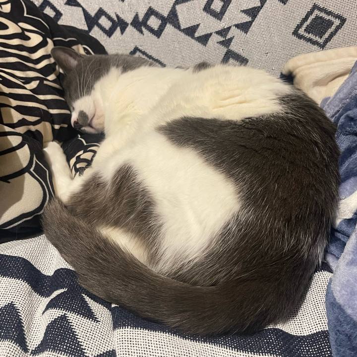 C5bd46f1 3afa 4551 8a28 a989201a63e2 1680090841498