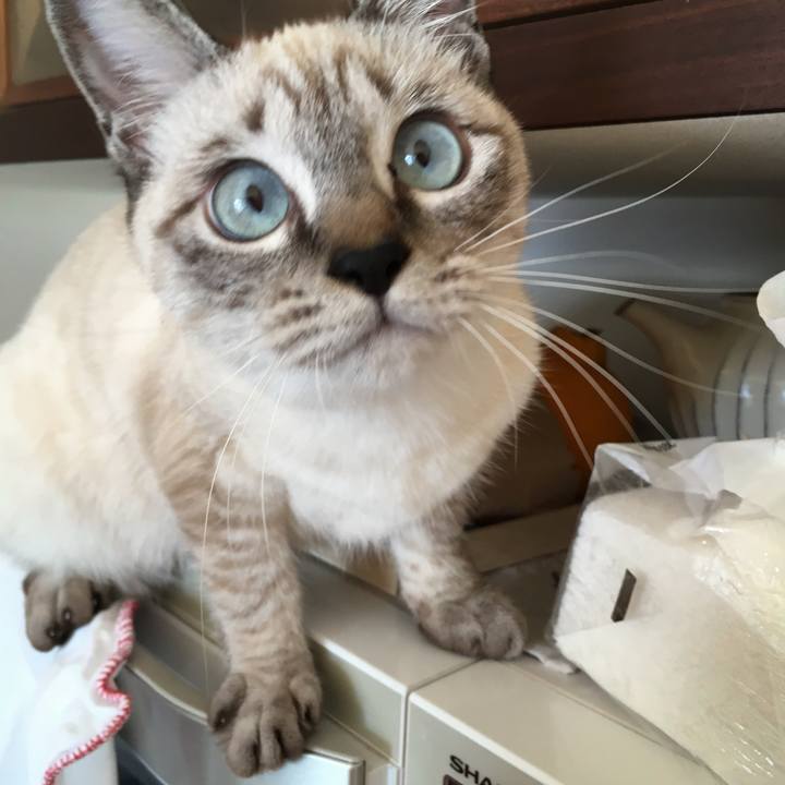 C5bd5dac 3104 45c0 8cef 4e721d9c2e13 1543971026193