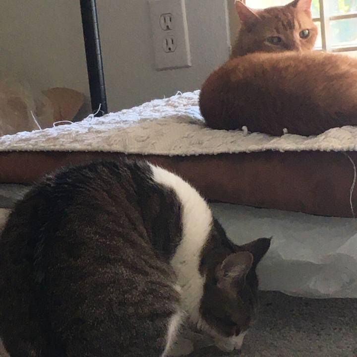 C5bd67ee 3841 4277 bb58 93a28e2181dc 1692490203472