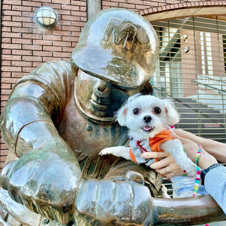 C5bd852d 60ee 4ed4 bb09 b9ffb77de8ac 1635041186610