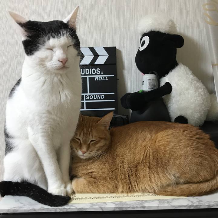 C5bd8681 44bb 436f 8630 dc5b2741cdeb 1515668359403