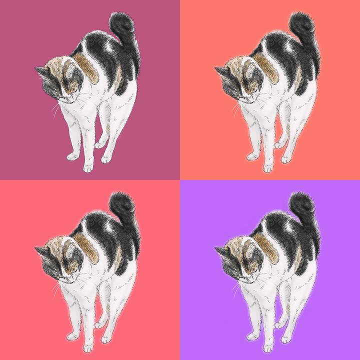 C5bdacf3 9834 4677 a441 eb78d1de2ba0 1568124025300