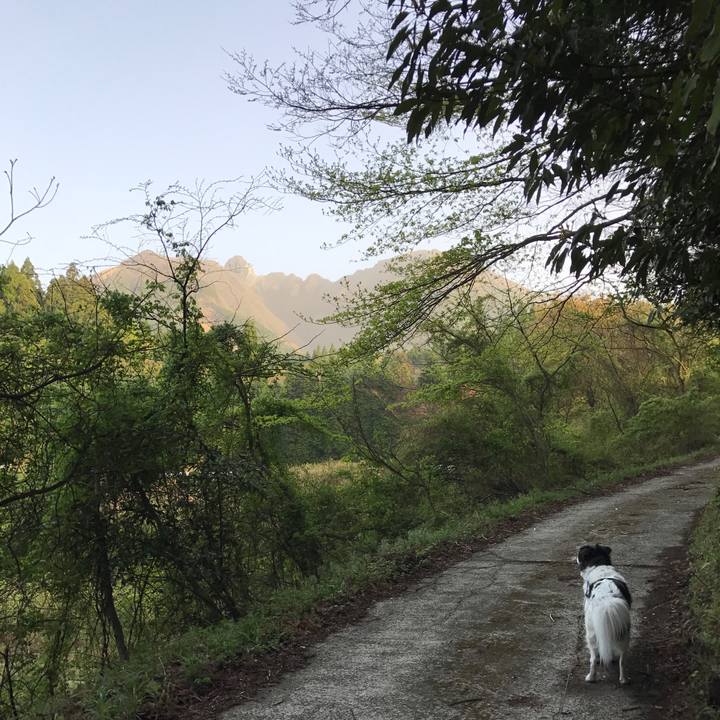 C5bdb54d c75f 4f4a bfbf 59b7db62d72f 1523874831568