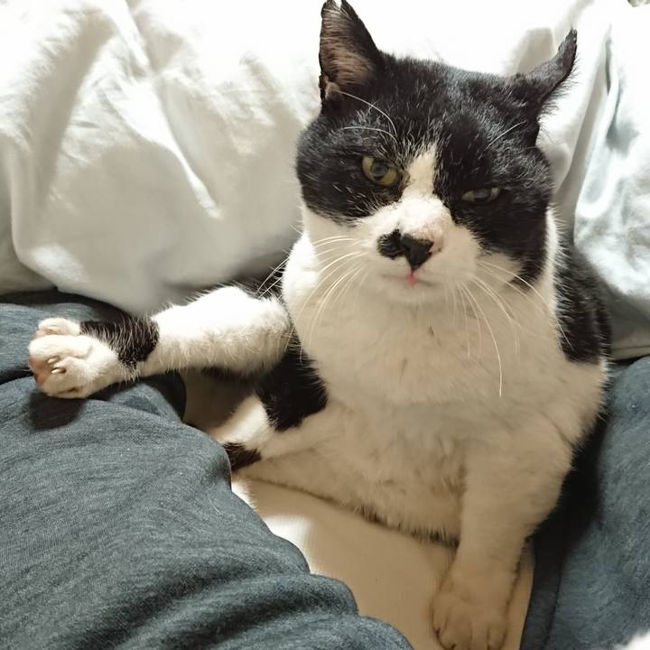 C5bdd52a e005 42f9 9b84 f63fd80a0e68 1675782582374