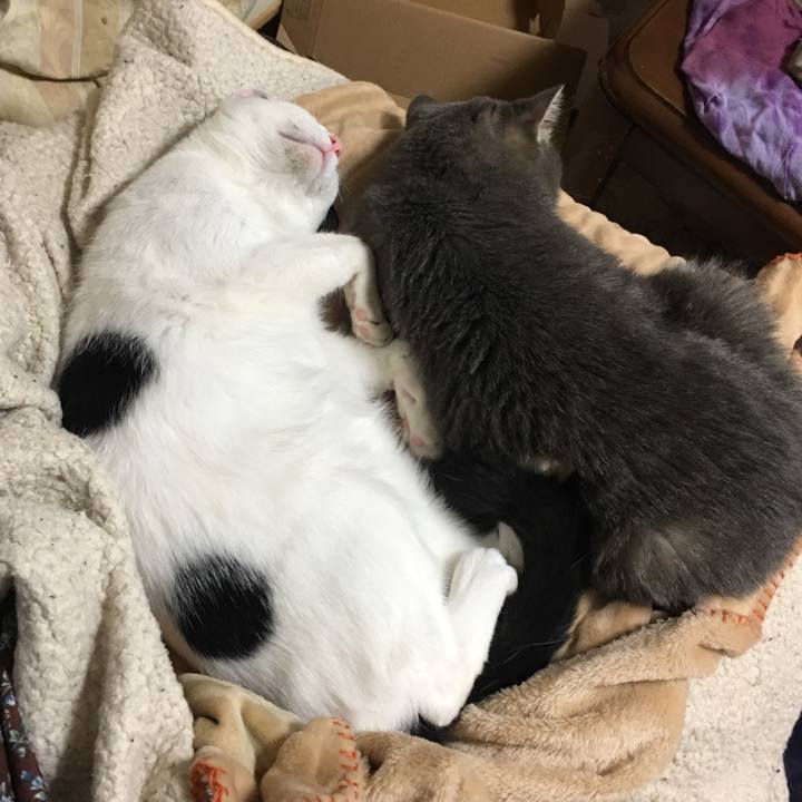 C5be0964 201c 4c64 b2dd 828492ed5431 1541000365162