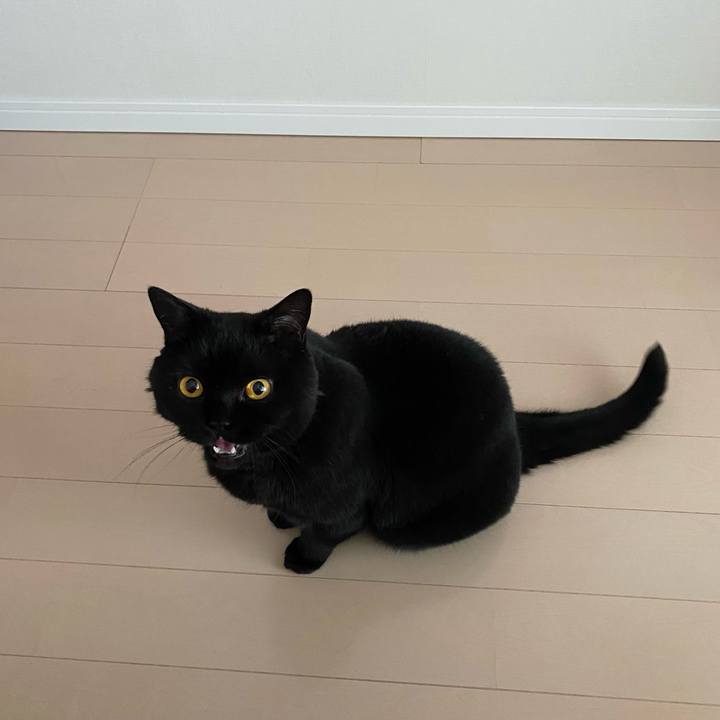 C5be5036 60f2 4fce 997d bb4c7638596b 1684589196073