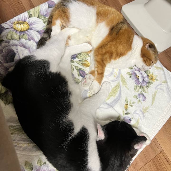 C5be99d3 19ed 4037 a867 f93c2b89d5de 1706615979994