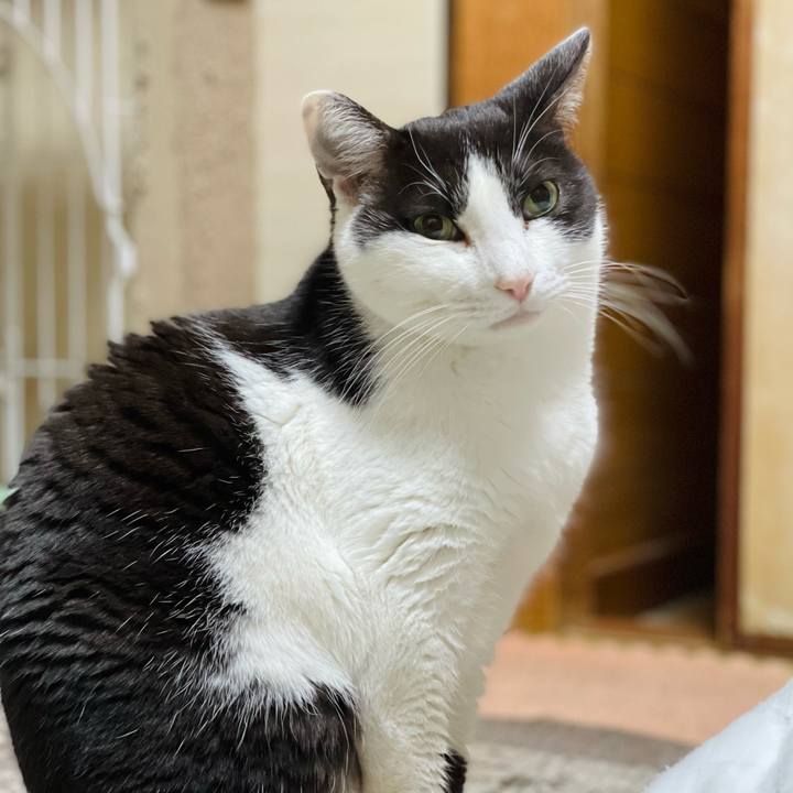 C5be9fd0 fad4 4c0e b6ff cabeb4b4827c 1645928046024