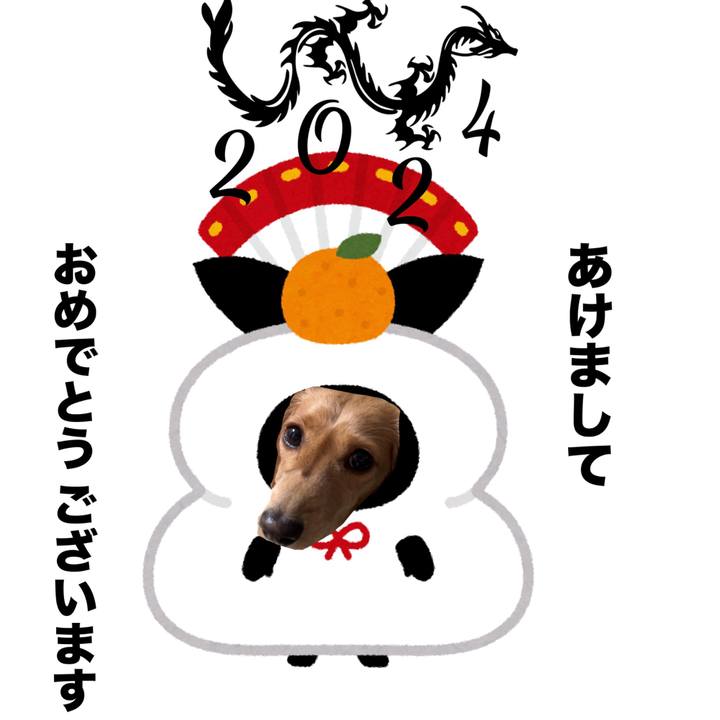 C5bea4d0 1928 4bcf a73a 09620e357e4d 1704040521586