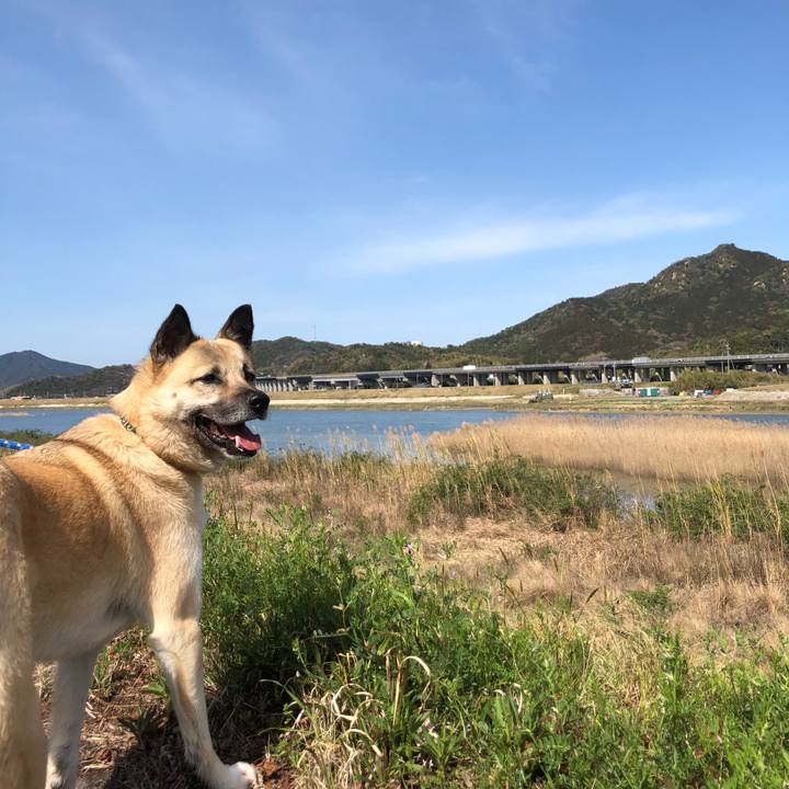 C5bec525 b782 4088 8658 167a5a86cd18 1585482134282